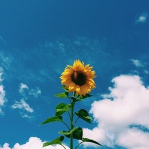 Meet your Posher, Jee